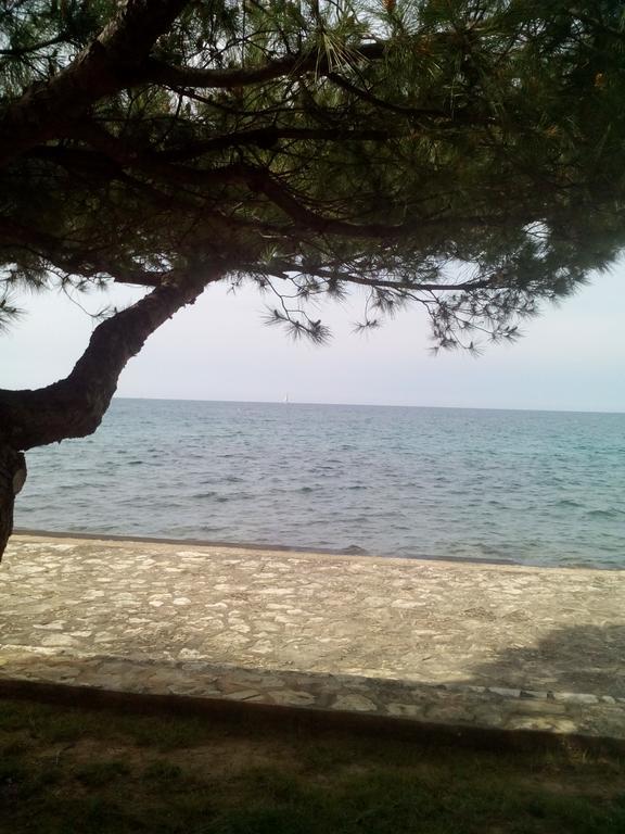 House Monika Apartment Poreč